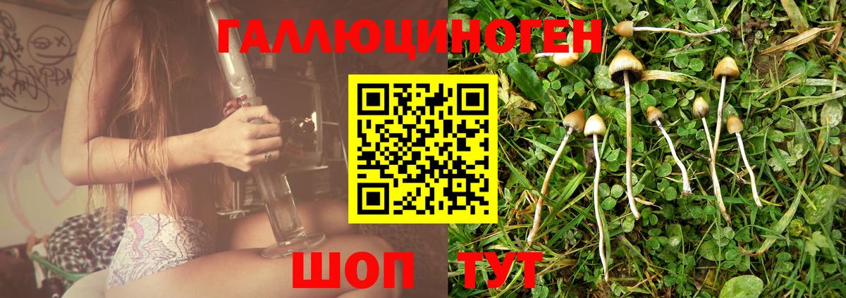Псилоцибиновые грибы Magic Shrooms  Псилоцибиновые грибы мицелий  Кольчугино  Вход с VPN 