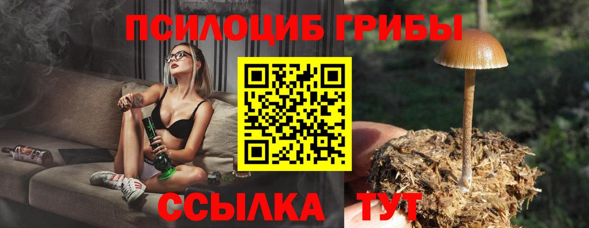 Галлюциногенные грибы MAGIC MUSHROOMS Кольчугино